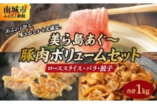 【美ら島あぐ～】豚肉ボリュームセット