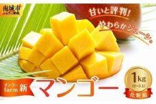 【マンゴーfarm新】 沖縄県南城市産マンゴー化粧箱1kg
