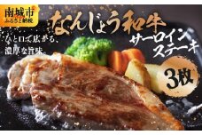 《極上の味わい》和牛サーロイン 約150～200g×3枚 なんじょう和牛|サーロインステーキ 黒毛和牛 ステーキ 真空パックでお届け 沖縄県 南城市 牛肉 送料無料【TM02】