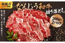 《使い勝手抜群!!》 和牛切り落とし 200g×2パック なんじょう和牛 合計400g |黒毛和牛 和牛 切り落とし モモ ウデ バラ 沖縄県 南城市 牛肉【TM03】