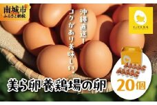 卵の黄身が掴めるほどの新鮮さ 美ら卵養鶏場の卵 20個【順次配送】