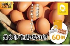 卵の黄身が掴めるほどの新鮮さ 美ら卵養鶏場の卵 60個【順次配送】