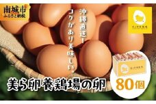 卵の黄身が掴めるほどの新鮮さ 美ら卵養鶏場の卵 80個【順次配送】