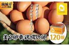 卵の黄身が掴めるほどの新鮮さ 美ら卵養鶏場の卵 120個【順次配送】