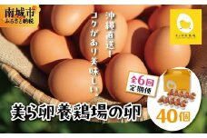 卵の黄身が掴めるほどの新鮮さ 美ら卵養鶏場の卵 40個【6ヶ月定期便】