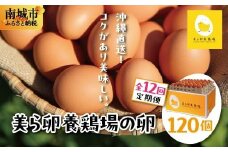 卵の黄身が掴めるほどの新鮮さ 美ら卵養鶏場の卵 120個【12ヶ月定期便】