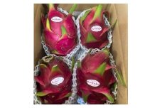 宮平農園のドラゴンフルーツ 2kg(レッド)
