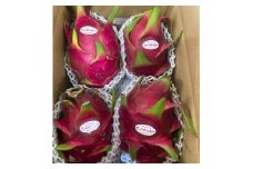 宮平農園のドラゴンフルーツ 2kg(レッド)