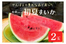＜2025年5月～6月頃の発送＞島袋さんの夏スイカ大玉 2玉(1玉あたり5.0～7.0kg)【1577673】