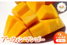 ＜2025年6月～8月の発送＞秀品アーウィンマンゴー2kg(3～6玉)【1584606】