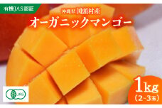 ＜有機JAS認証＞オーガニックマンゴー1kg(2～3玉)【1589195】