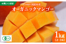 ＜2026年7月上旬から順次発送・有機JAS認証＞オーガニックマンゴー1kg(2～3玉)【1589195】