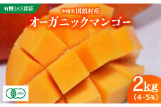 ＜有機JAS認証＞オーガニックマンゴー2kg(4～5玉)【1589198】