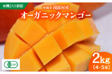 ＜2026年7月上旬から順次発送・有機JAS認証＞オーガニックマンゴー2kg(4～5玉)【1589198】