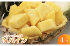 ＜2025年7月～8月の発送＞パイナップルの王道 Nパイン4玉【1584608】