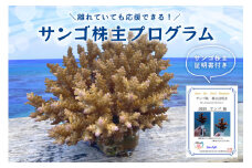 成長記録が贈られる!国頭村の「サンゴ株主」プログラム1株【1579236】