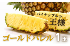＜2025年5月以降順次発送・ハウス栽培＞パイナップルの王様 ゴールドバレル1玉(1.7kg)【1584621】