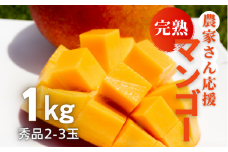 ＜2025年6月～8月の発送＞秀品アーウィンマンゴー1kg(2～3玉)【1577567】