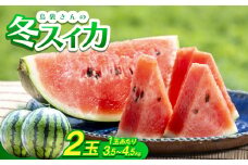 ＜2026年2月～3月頃の発送＞島袋さんの冬スイカ 2玉(1玉あたり3.5～4.5kg)【1577666】