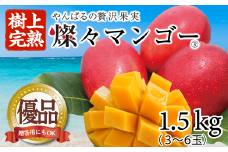 ＜2025年発送・優品＞燦々マンゴー1.5kg(3～6玉)【1619778】