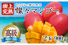 ＜2025年発送・最高級 極＞燦々マンゴー900g(2玉)【1622439】
