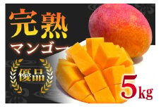 ＜2025年6月～8月の発送＞優品アーウィンマンゴー5kg(8～12玉)【1584603】