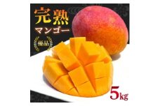 ＜2026年6月から順次発送＞優品アーウィンマンゴー5kg(8～12玉)【1584603】