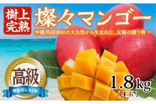 ＜2025年発送・最高級 極＞燦々マンゴー1.8kg(4玉)【1622441】