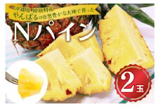 ＜2025年7月～8月の発送＞パイナップルの王道 Nパイン2玉【1577568】