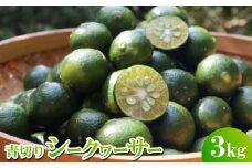 ＜2025年9月～10月の発送＞ゆいゆい国頭が厳選した青切りシークヮーサー3kg【1577572】