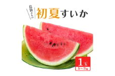 ＜2025年5月～6月頃の発送＞島袋さんの夏スイカ大玉 1玉(5.0～7.0kg)【1577669】