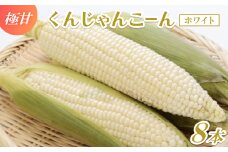 ＜2026年4～5月頃順次発送＞春獲れ一番!極甘くんじゃんこーん ホワイト 8本 とうもろこし【1578629】