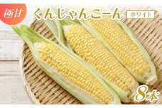 ＜2026年4～5月頃順次発送＞春獲れ一番!極甘くんじゃんこーん 8本 とうもろこし【1578836】