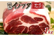 国頭イノブタ ロース(ブロック) 1kg【1580290】