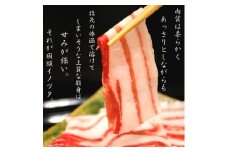 国頭イノブタ バラ(スライス) 1kg【1580305】