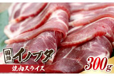 旨み凝縮した 国頭イノブタ 焼肉スライス 300g【1580325】