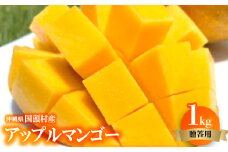 ＜2025年6月～7月頃の発送＞贈答用のアップルマンゴー1kg【1601771】
