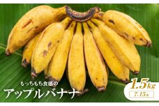 もっちもち食感のアップルバナナ1.5kg(7～15本)【1579241】