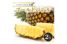 ＜2025年5月以降順次発送・ハウス栽培＞パイナップルの王様 ゴールドバレル2玉【1608233】