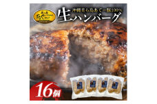 「美ら島あぐー」ハンバーグ 16個(4個入×4P)【1608351】