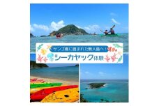 サンゴ礁に囲まれた無人島へ!シーカヤック体験 2名様【1606643】