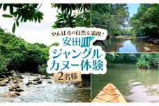 安田川ジャングルカヌー体験 2名様【1606644】