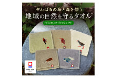 地域の自然を守るタオル やんばるの自然を想う 5枚セット 今治タオル【1606893】