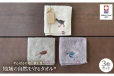 地域の自然を守るタオル やんばるの海と森を想う 3枚セット【1606929】