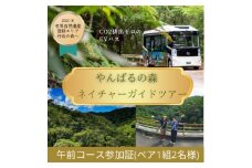 ＜一ヶ月前予約必須＞やんばるの森ネイチャーガイドEVバスツアー 午前コース(ペア1組2名様分)【1606954】
