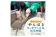 見て・触って・学べる!やんばるタッチプール&飼育体験チケット2名様【1613754】