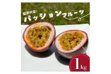 ＜2025年5月頃から順次発送＞国頭村産パッションフルーツ1kg(10～12玉)【1616926】