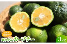 ＜2025年10月頃から順次発送＞島みかん カーブチー 3kg【1618463】