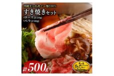 美ら島あぐー ロース250g バラ250g すき焼きセット計500g【1620062】