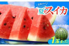 ＜2025年8月中旬から順次発送＞島袋さんの夏スイカ大玉 1玉(5.0～7.0kg)【1628646】